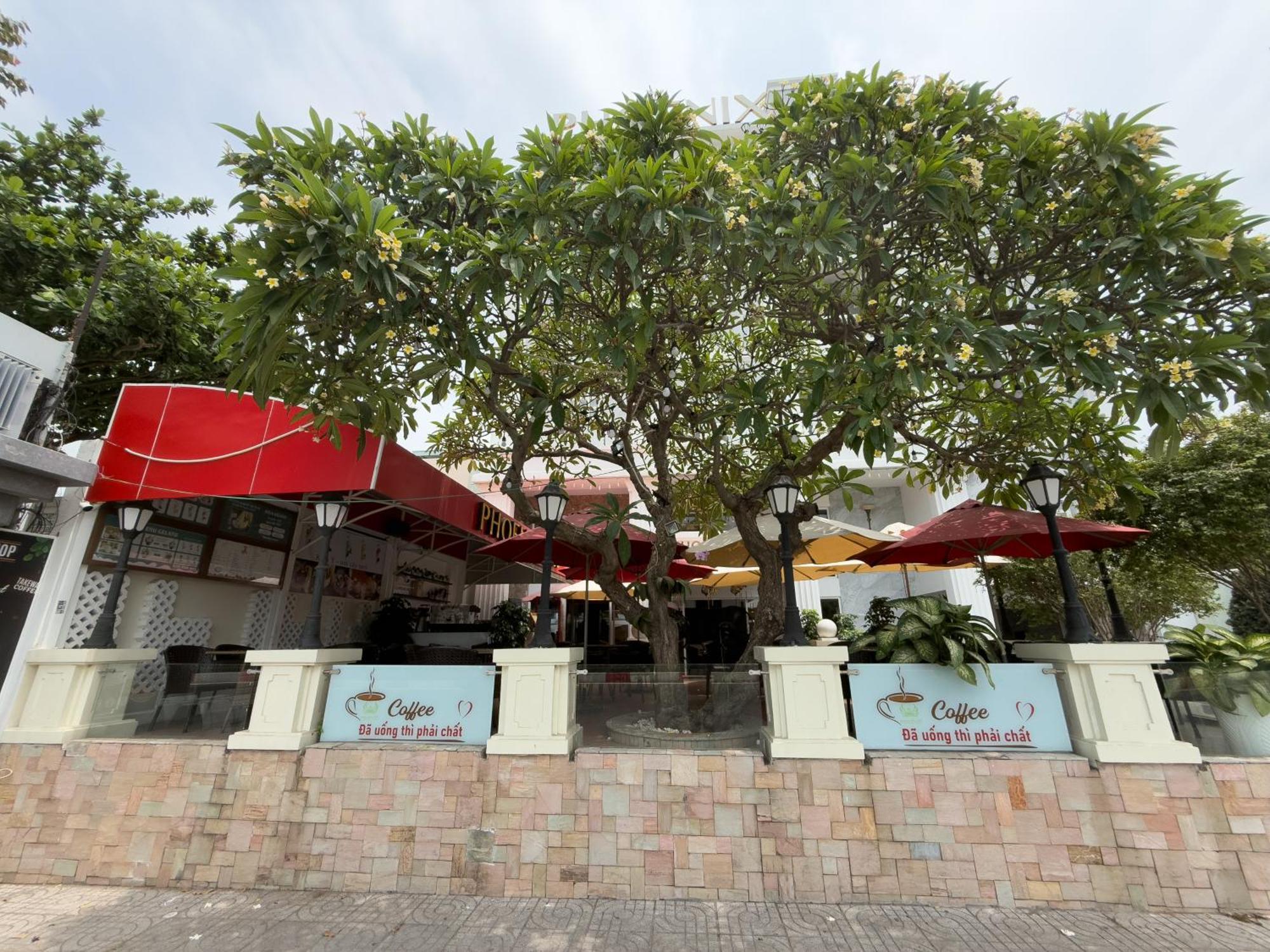 Phoenix Hotel Vung Tau Dış mekan fotoğraf